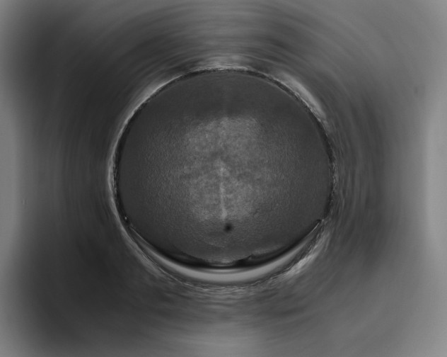 X0000094780893200711161413