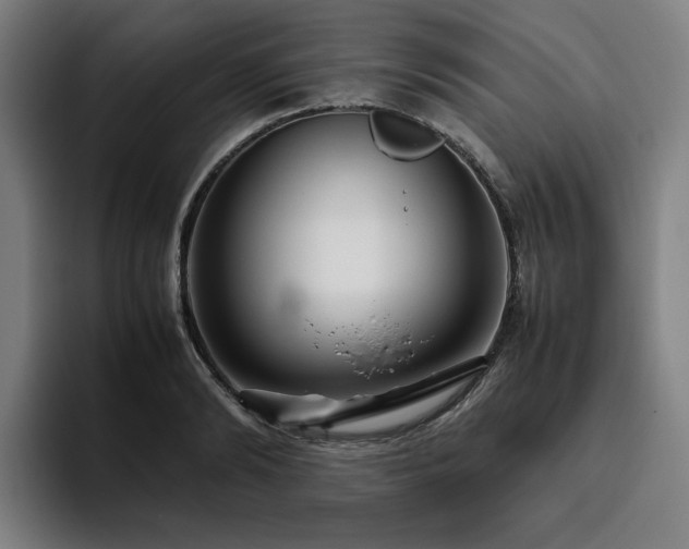 X0000094780894200711161413