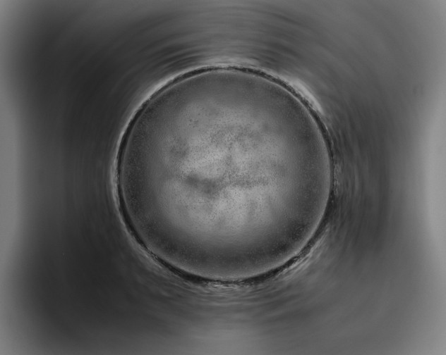 X0000094780895200711161413
