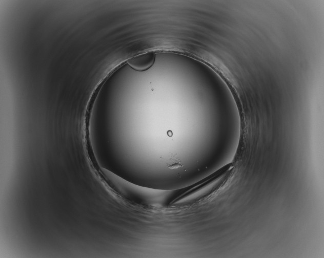 X0000094780898200711161413