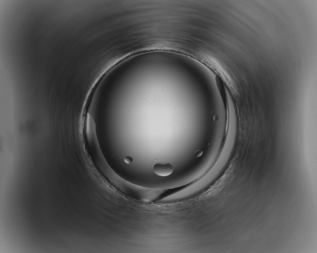 X0000094780900200711161413