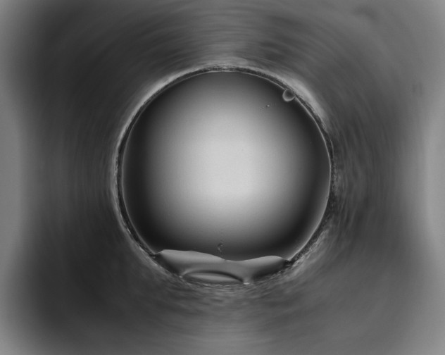 X0000094780903200711161413