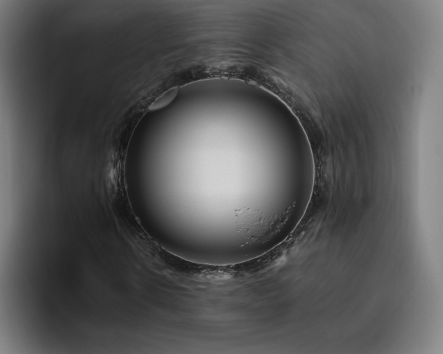 X0000094780914200711161413