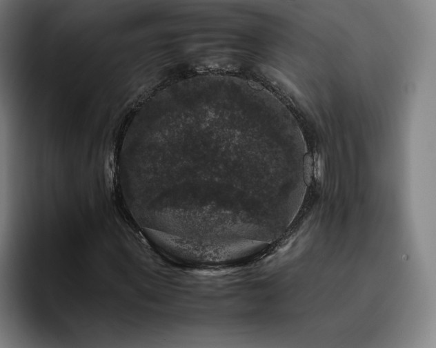 X0000094780915200711161413