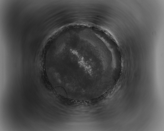 X0000094780919200711161413