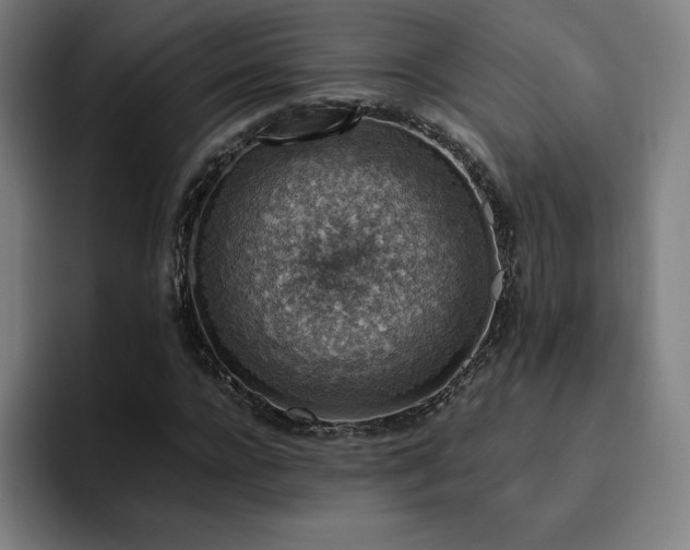 X0000094780920200711161413