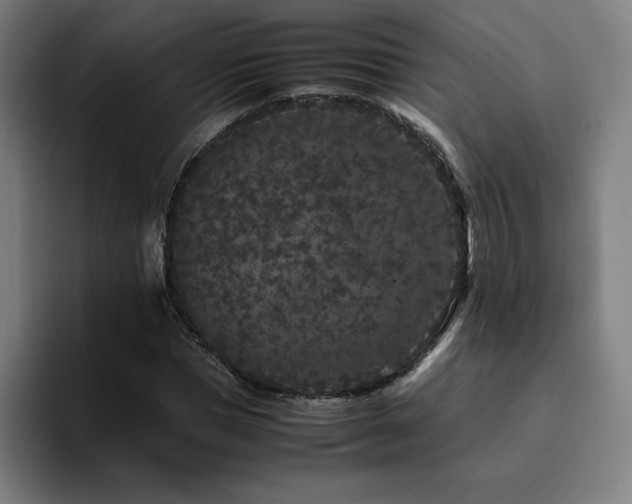 X0000094780921200711161413