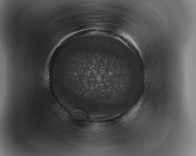 X0000094780923200711161413
