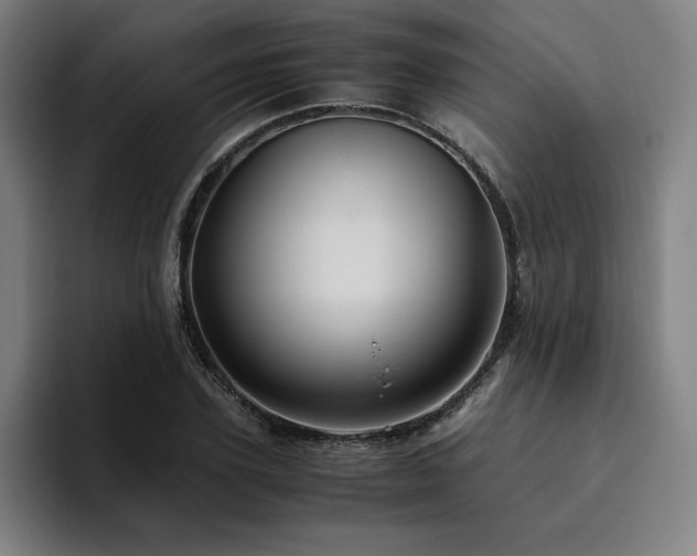 X0000094780931200711161413