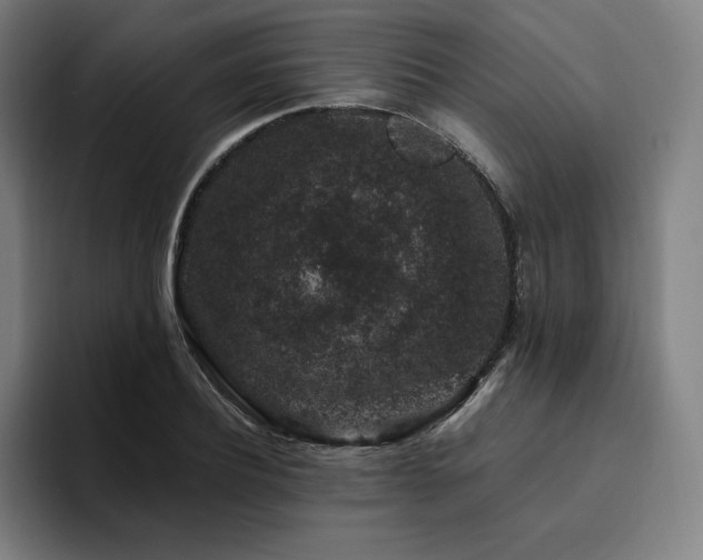 X0000094780932200711161413