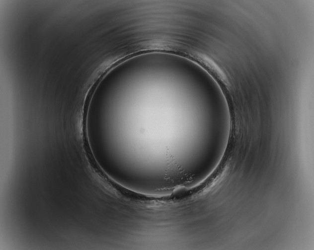 X0000094780938200711161413