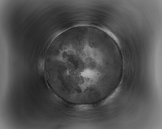 X0000094780953200711161413