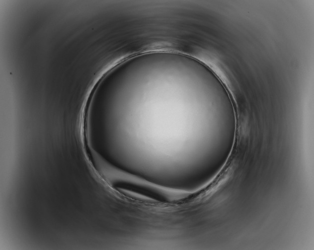 X0000094780957200711161413
