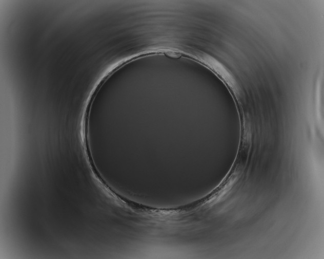 X0000094780958200711161413