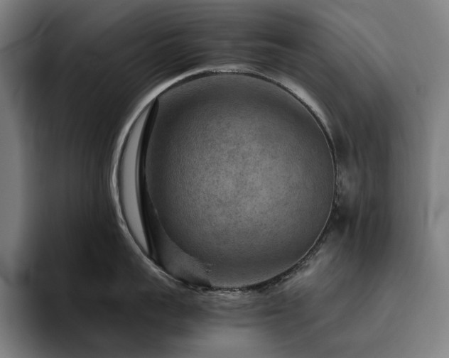 X0000094780959200711161413