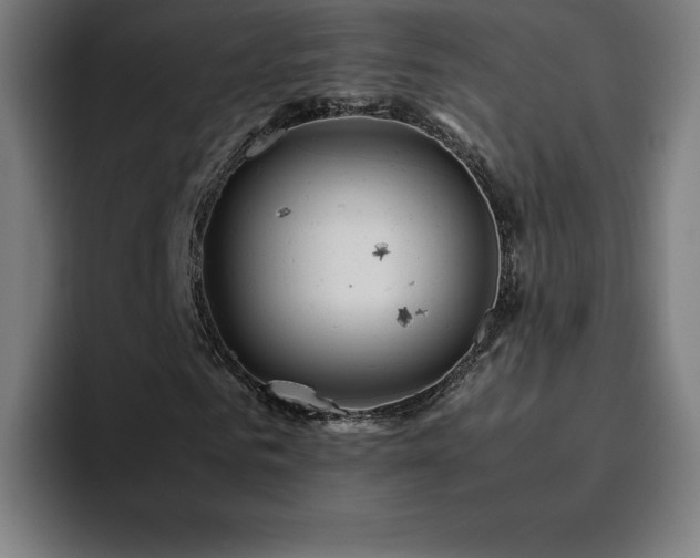 X0000094780961200711161413