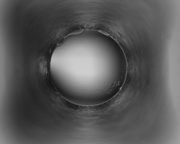 X0000094780962200711161413
