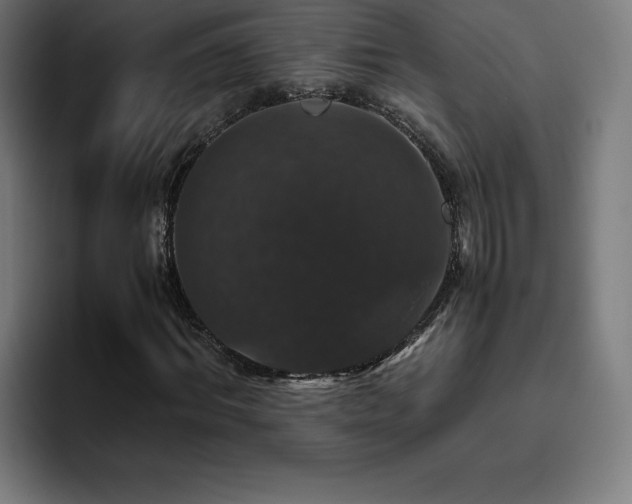 X0000094780964200711161413