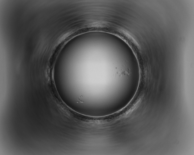 X0000094780970200711161412