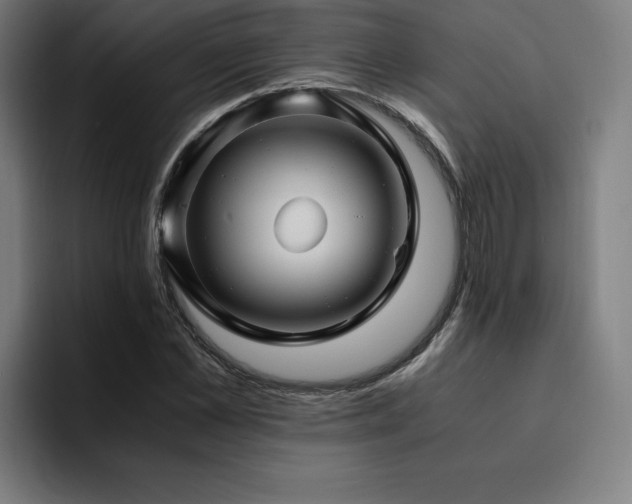 X0000094780973200711161412
