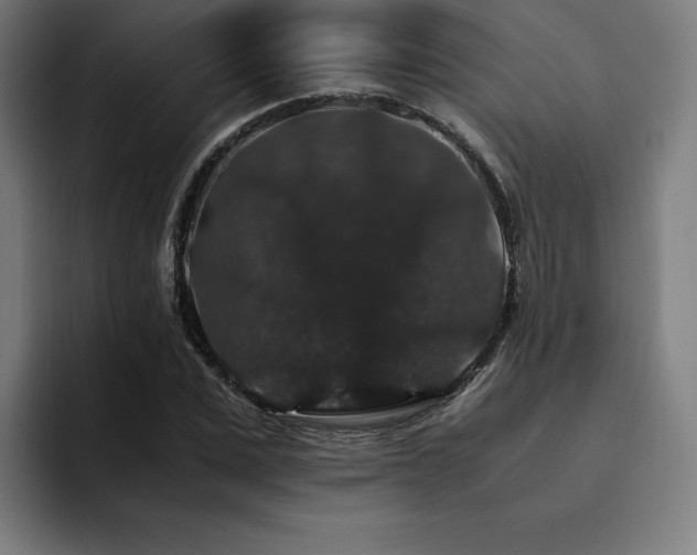X0000094780975200711161412