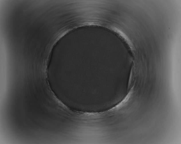 X0000094780977200711161412
