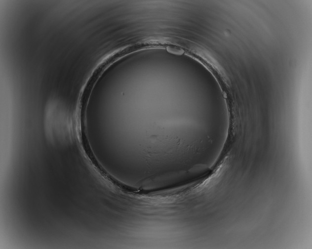 X0000094780984200711161412