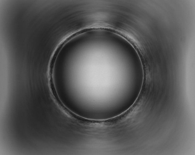 X0000094780990200711161412