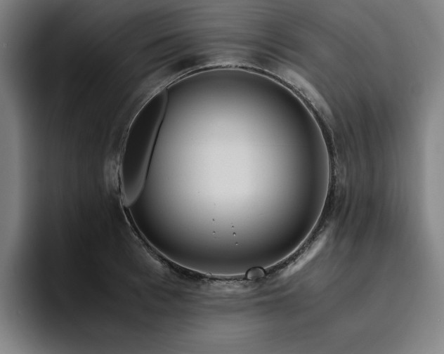 X0000094780993200711161412