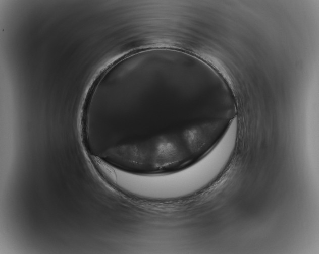 X0000094780995200711161412