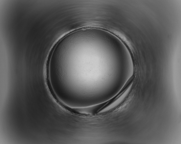 X0000094780999200711161412