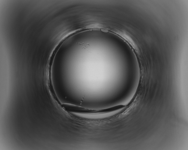 X0000094781000200711161412