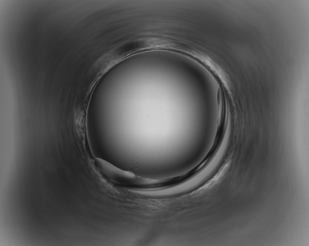 X0000094781001200711161412