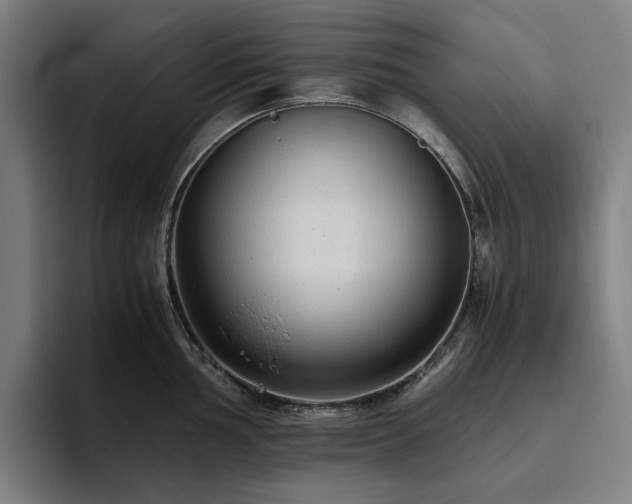 X0000094781002200711161412