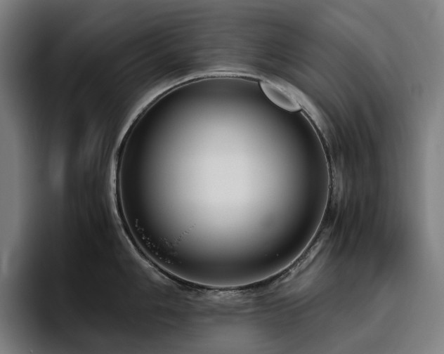 X0000094781006200711161412