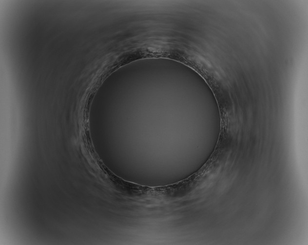 X0000094781009200711161411