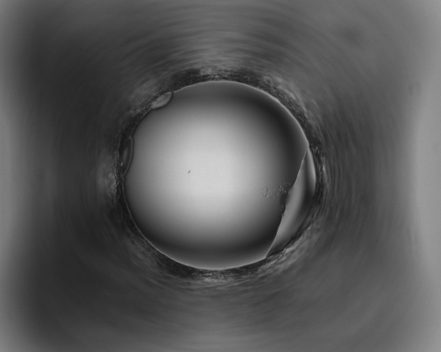 X0000094781012200711161411