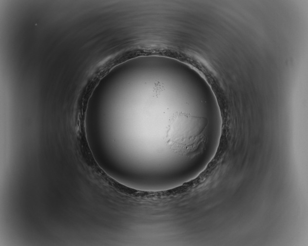 X0000094781016200711161411