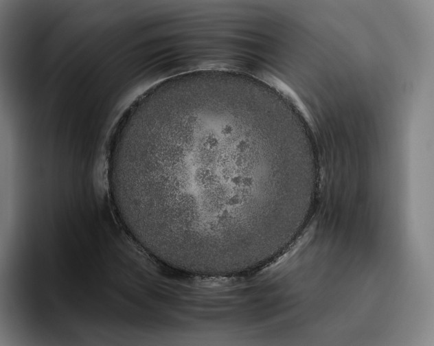 X0000094781019200711161411