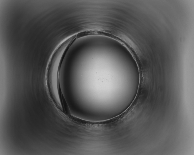 X0000094781020200711161411
