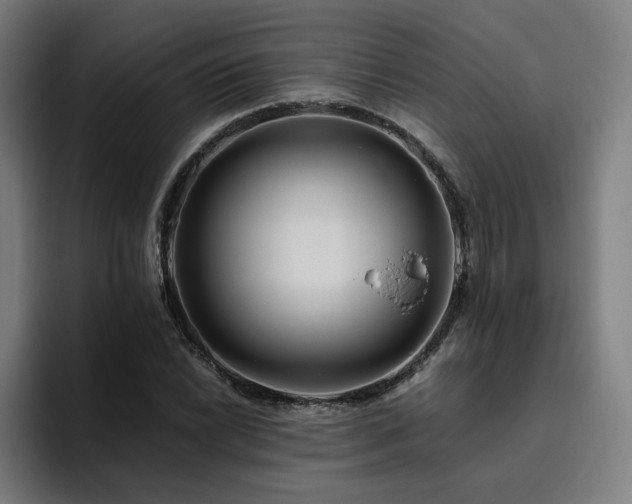 X0000094781022200711161411