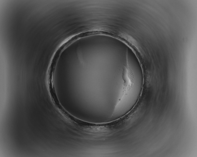 X0000094781024200711161412