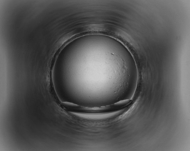 X0000094781025200711161412