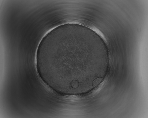X0000094781028200711161412