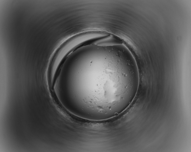 X0000094781030200711161412