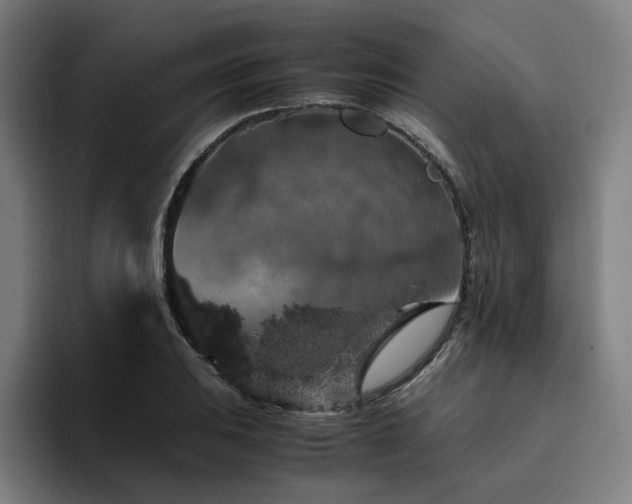 X0000094781031200711161412