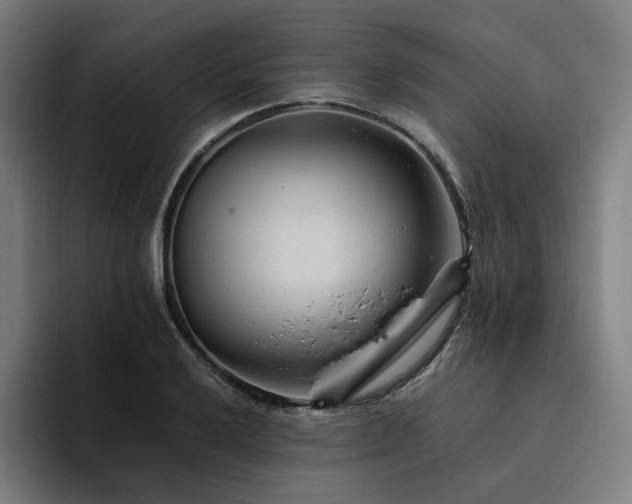 X0000094781032200711161412