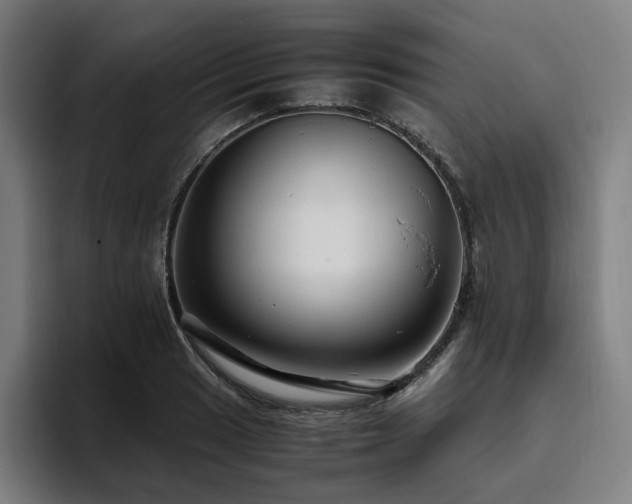 X0000094781033200711161412