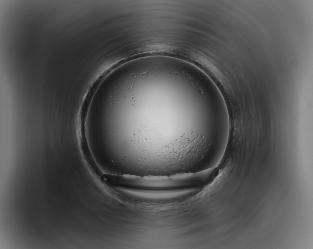 X0000094781034200711161412