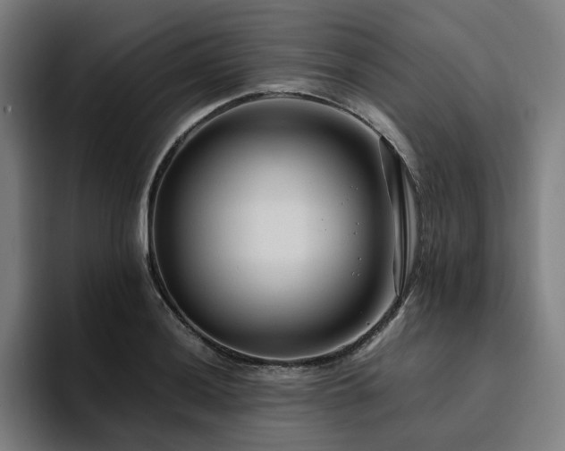 X0000094781036200711161412